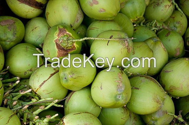 Tender Coconut