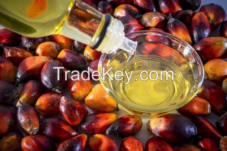 Palm Oil 