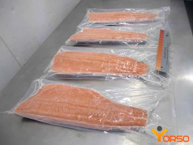 Salmon Fish Frozen Fillet