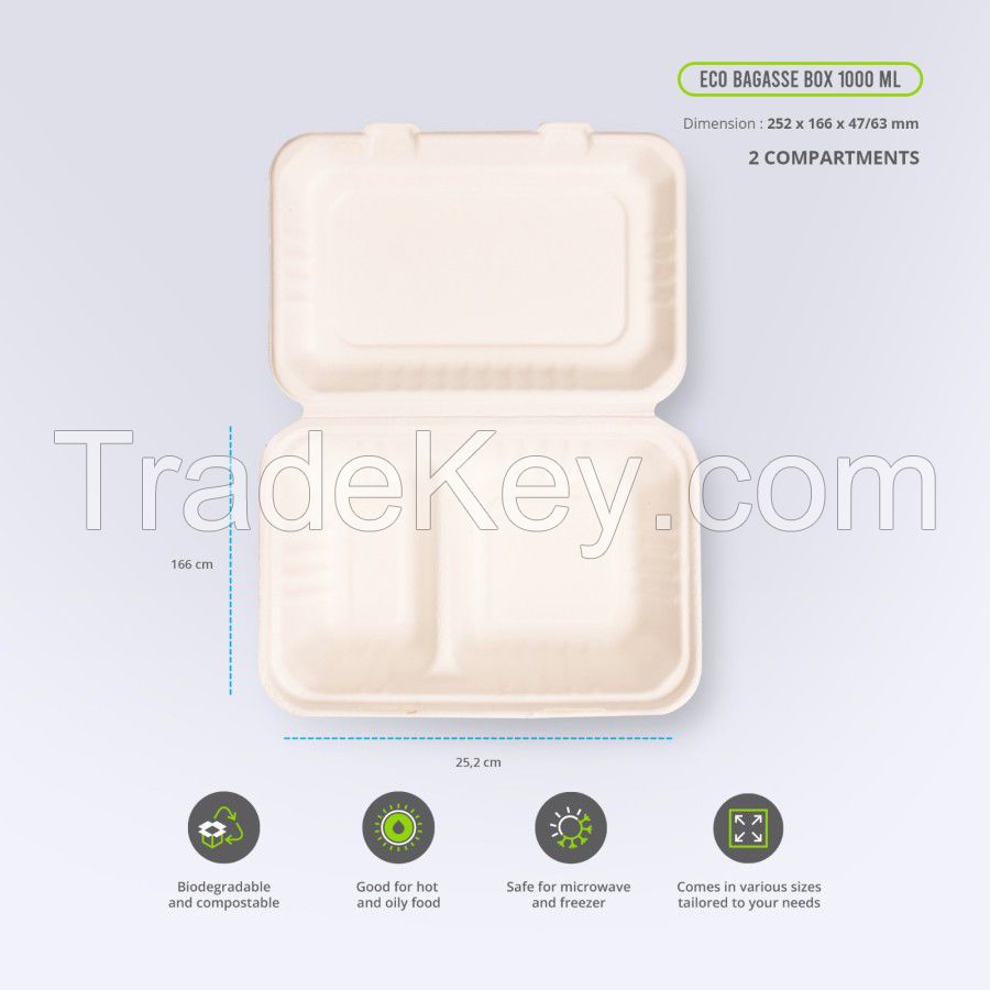 Bagasse Food Container Box Biodegradable