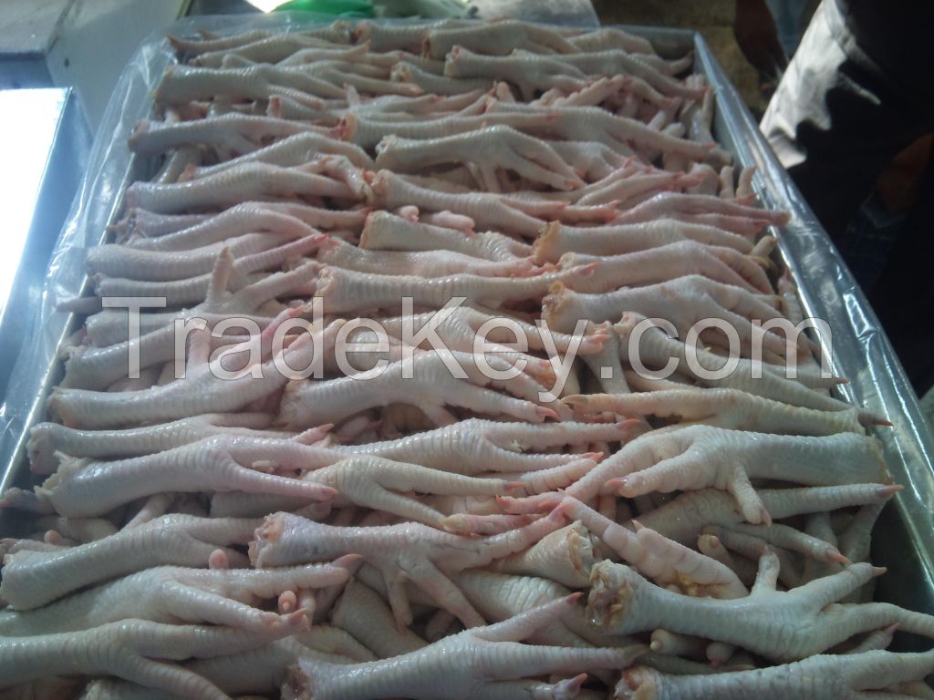 FROZEN CHICKEN FEET GRADE-A