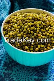 green gram vigna green beans Mung Beans green moong