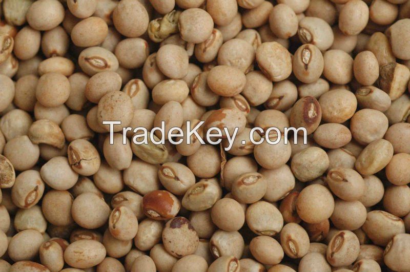 Peas /Split Yellow Peas/Pigeon Peas or Toor Dal Whole