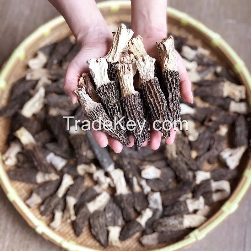 Best Quality Wholesale Bulk Morel Mushroom / Dried Black Morel Mushroom