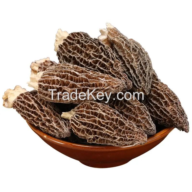 Best Quality Wholesale Bulk Morel Mushroom / Dried Black Morel Mushroom