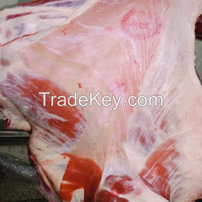 Premium High Quality Frozen Halal Mutton from Thailand