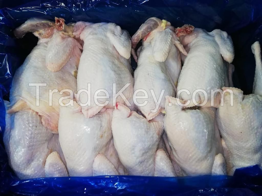 Best quality frozen whole chicken frozen whole chicken