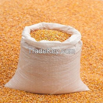 PREMIUM QUALITY WHEAT GRAINS