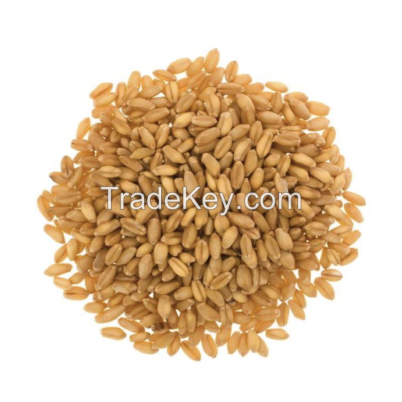 BEST PRICE WHEAT FROM UKRAINE