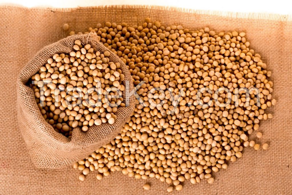 100% soybean dried