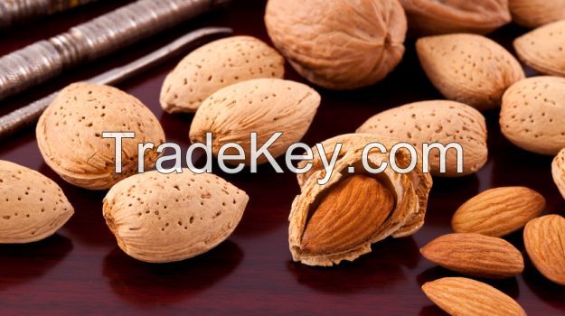 Wholesale health snacks organic Almond nut bulk high quality Roasted American almonds