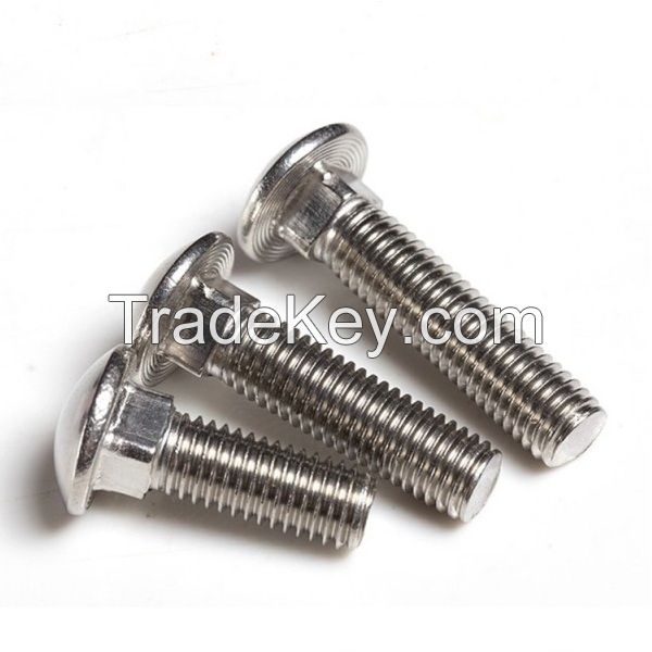 SS304 A2-70 Round Head Square Neck Bolts