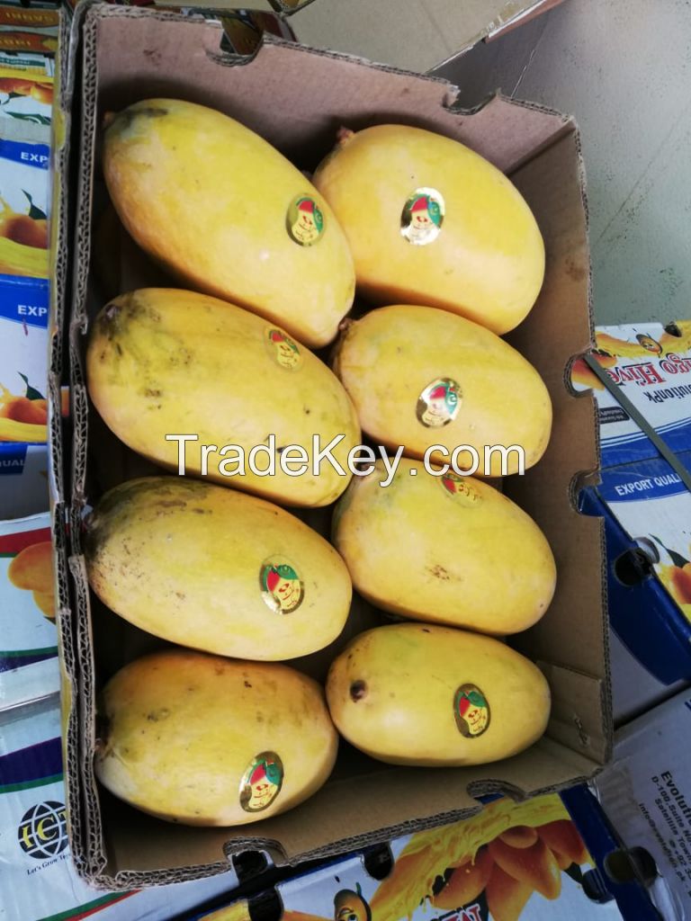 Pakistan Origin Mango