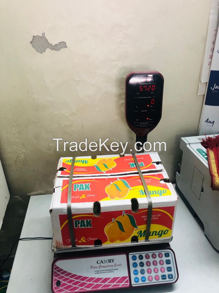 Pakistan Origin Mango