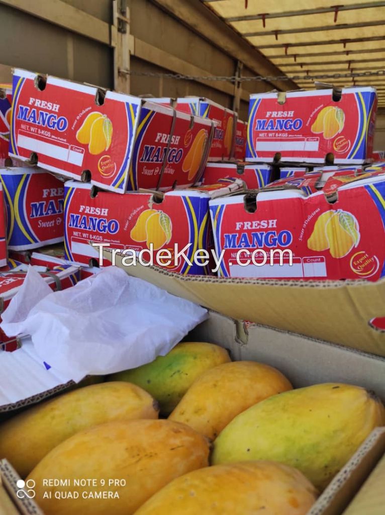 Pakistan Origin Mango