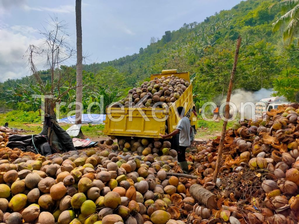 coconut semi husked