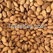 Almond Nuts