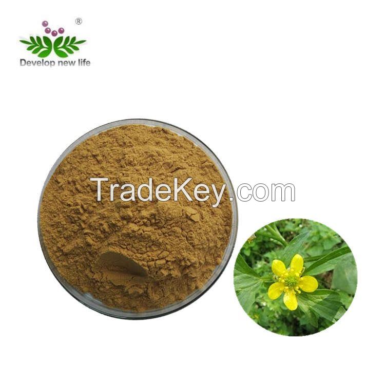 Ranunculus ternatus thunb Extract