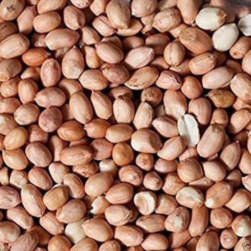 Indian Origin Groundnut Kernels Java 50/60