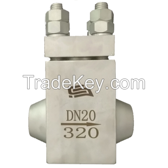 Cryogenic Check Valve