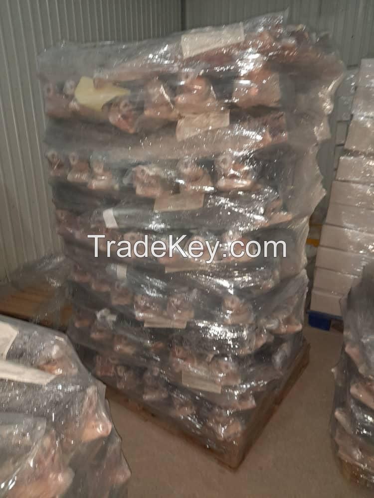 Sturgeon Fish (Huso Huso)