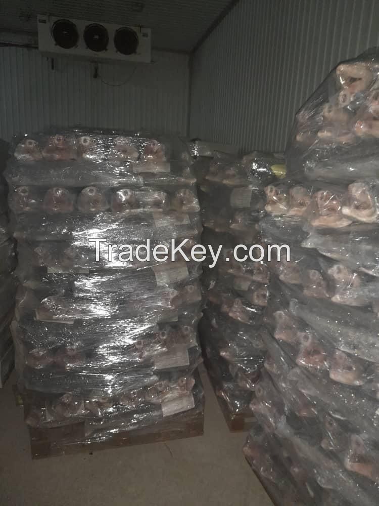 Sturgeon Fish (Huso Huso)