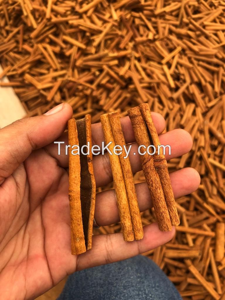 Cinnamon Sticks