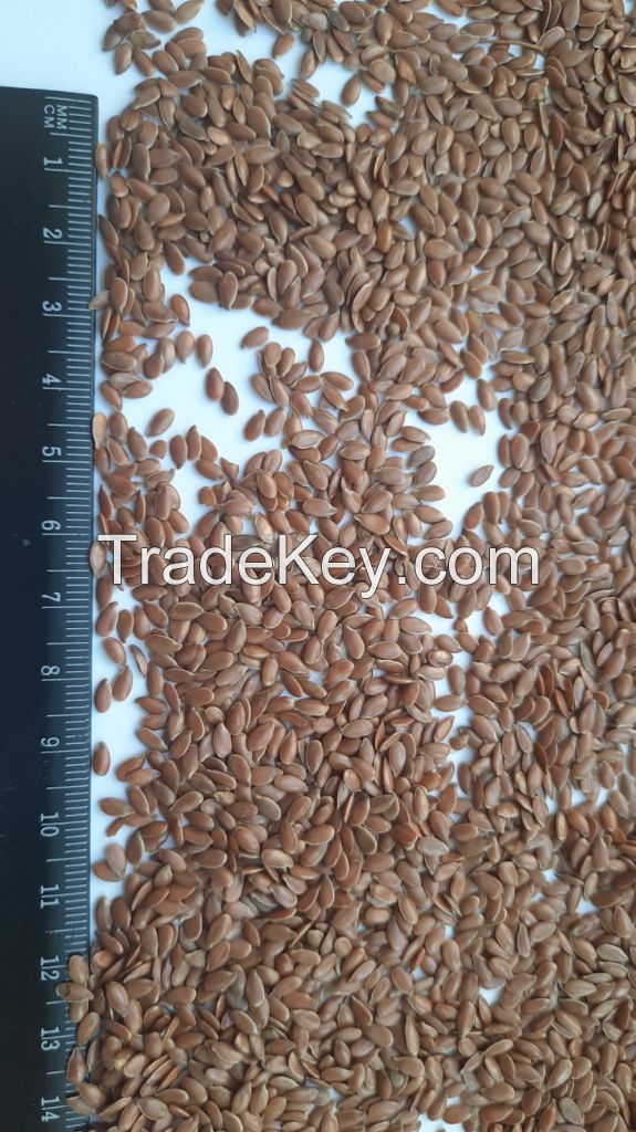 Flax seeds (brown) / Flax (brown)