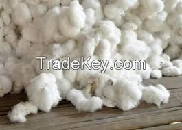 Raw Cotton