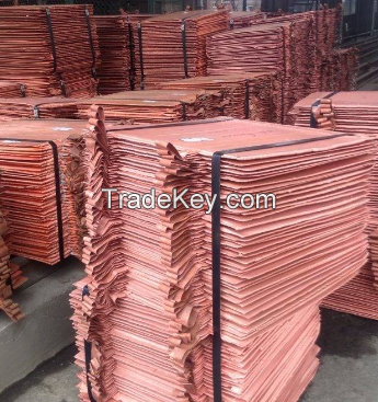 Copper cathode