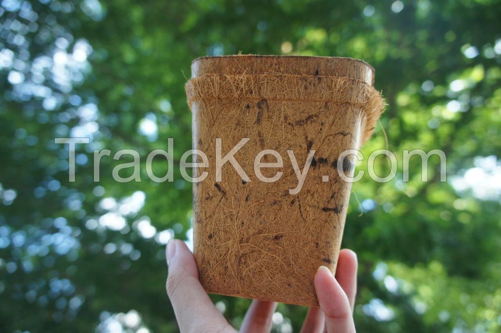 CHEAP PRICE VIETNAMESE COIR POT FLOWER COCONUT FIBER FROM BLUE LOTUS FARM 2023