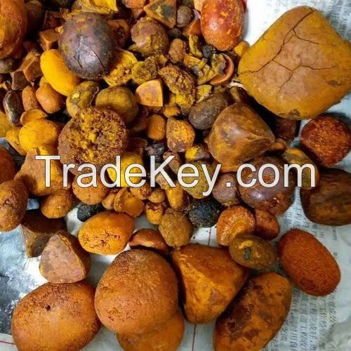 Cheap Gallstones - Cattle Ox Cow Gallstone for Sale - Where to Buy Cattle Ox Cow Gallstone Online Near Me with Fastest Shipping
