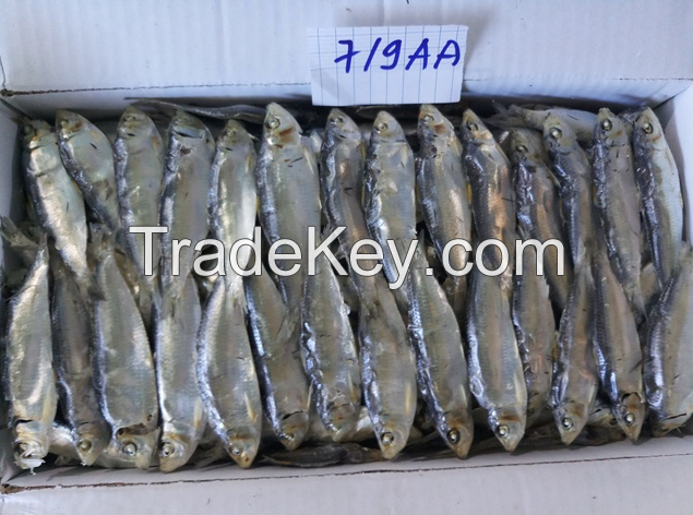 Dried Herring