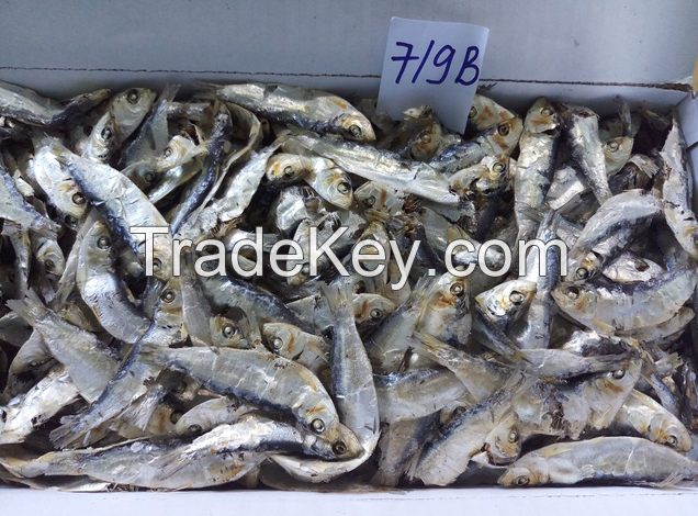 Dried Herring