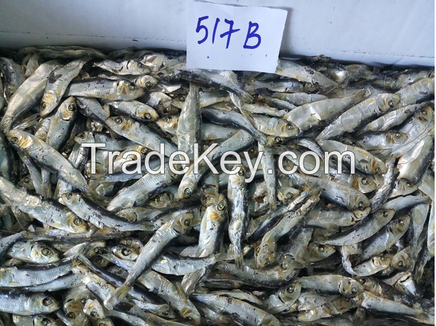 Dried Herring