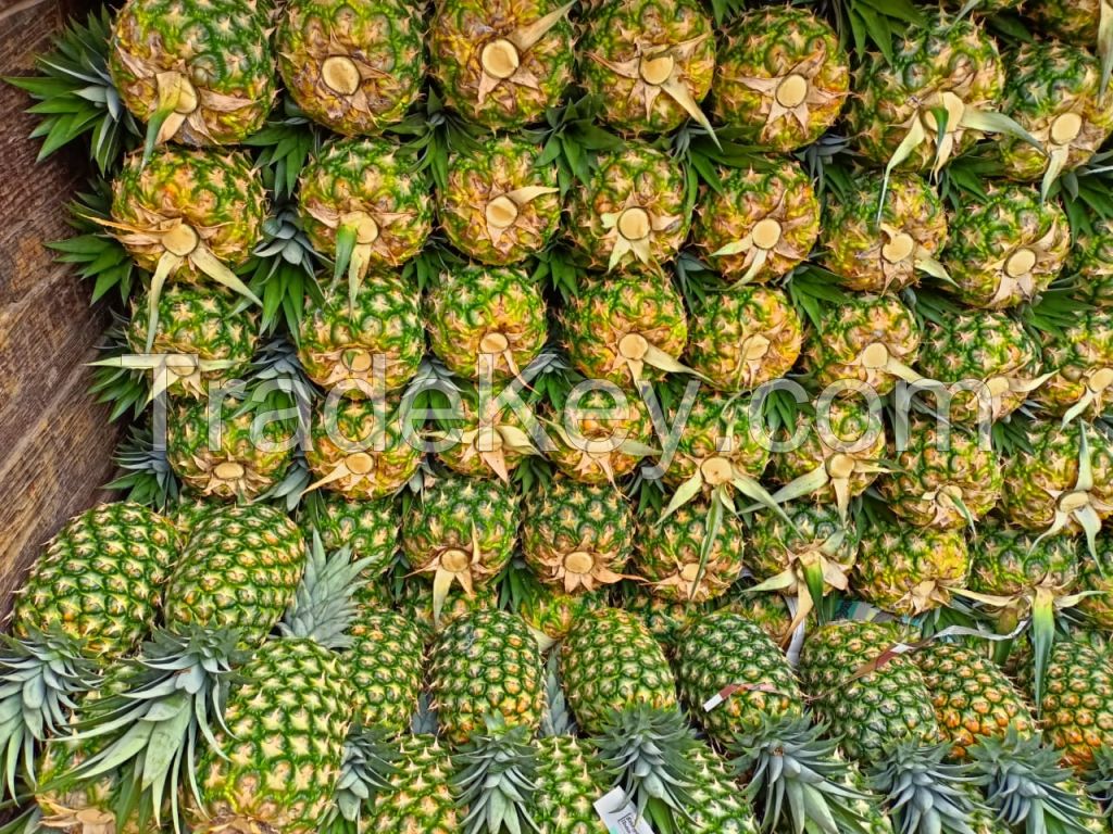 Green Pineapples