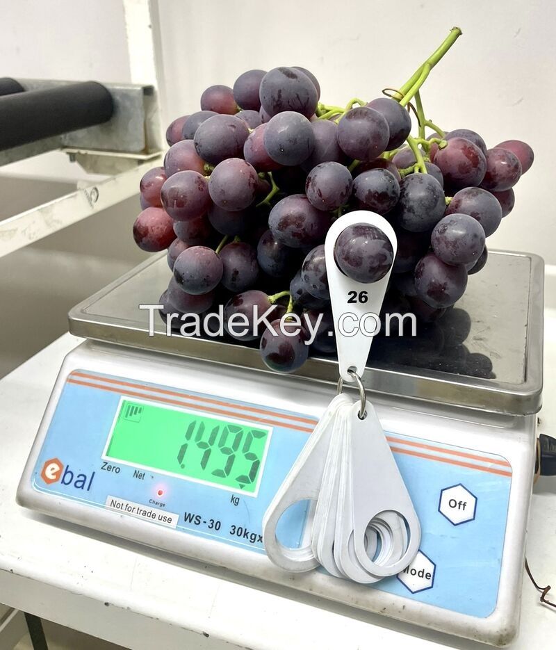 Fresh Grapes, Fresh Table Grapes, Seedless Grapes, Thompson Seedless, Crimson seedless