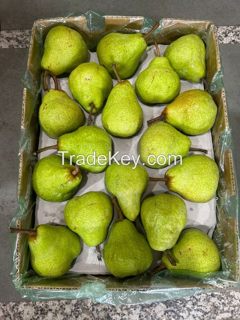 Fresh Pears, Premium Sweet Pears, Packams Triumph Pears, Forelle Pears, Bon Rouge Pears