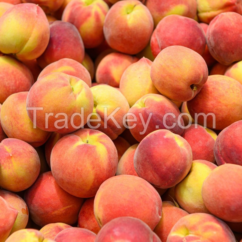 Quality Fresh Peaches, Fresh Plums, Fresh Nectarine, Yellow Peaches, Yellow Nectarine