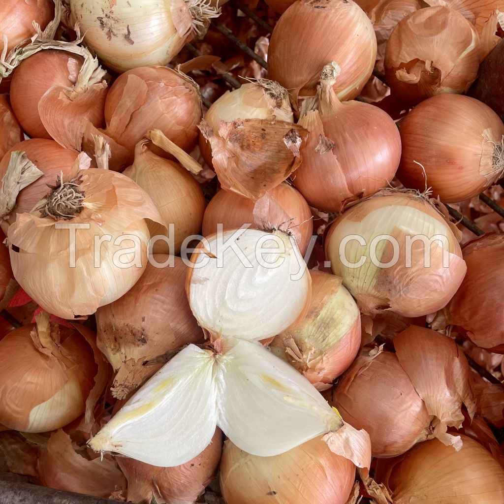 Premium Fresh Onions, White Onions, Red Onions, Clean Fresh Big Onions