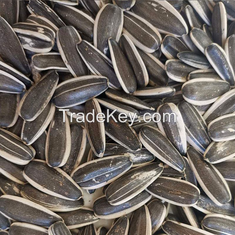 bulk sale sunflower seeds factory supply