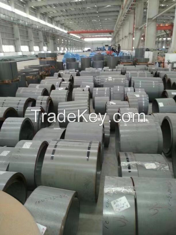 Cold Rolled Grain Oriented (CRGO) Electrical Silicon Steel