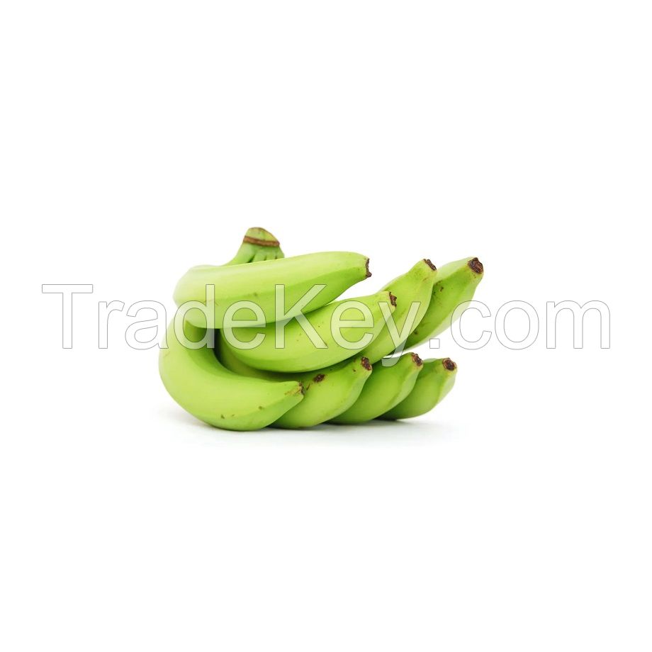 Cavendish Banana Best Quality Premium Grade Common Cultivation Type Wholesale 100% Natural Fresh Bananas