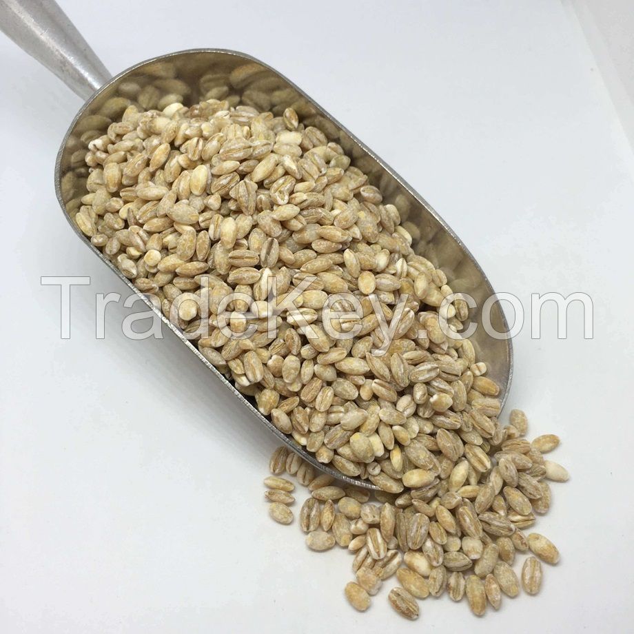  Organic Hulled Barley Grain (4.8lb) - Whole Barley Groat Seed Bulk - Great for Soup, Flour, Cereal, Home Brewing,