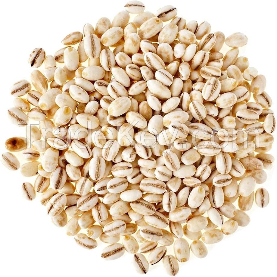  Organic Hulled Barley Grain (4.8lb) - Whole Barley Groat Seed Bulk - Great for Soup, Flour, Cereal, Home Brewing,