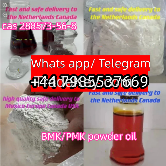 BMK/PMK power/liquid  CAS 28578-16-7/20320-59-6/5413-05-8/13605-48-6 