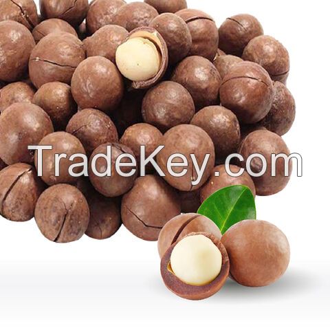 Wholesale Macadamia Nuts - Premium Quality - Best Prices.