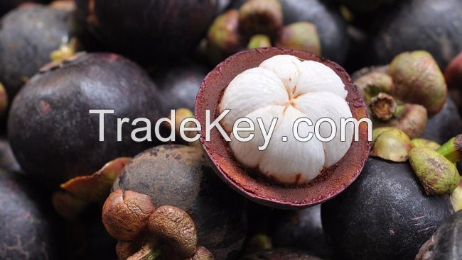 Fresh Mangosteen