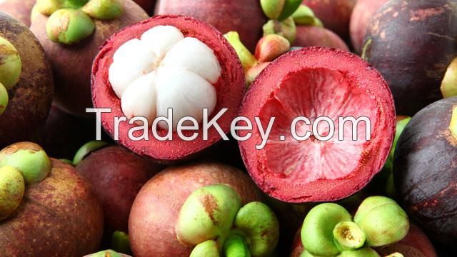 Fresh Mangosteen