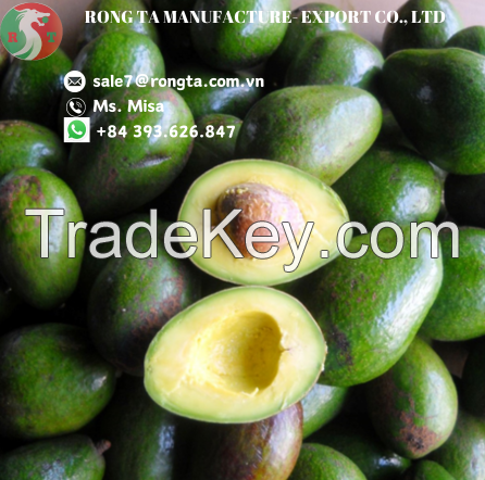 BEST SELLER FRESH AVOCADO FROM VIETNAM